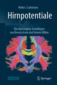 Hirnpotentiale_cover