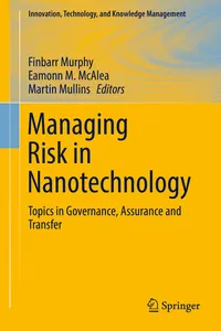 Managing Risk in Nanotechnology_cover