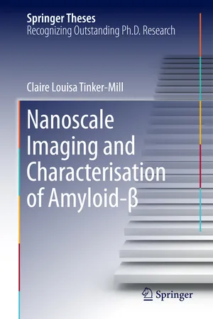 Nanoscale Imaging and Characterisation of Amyloid-β