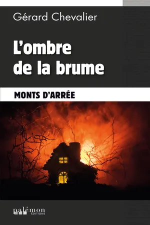 L'ombre de la brume
