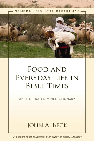 Food and Everyday Life in Bible Times