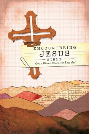 NIV, Encountering Jesus Bible