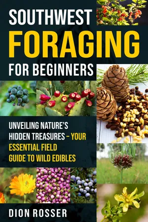 Southwest Foraging for Beginners