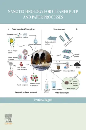 Nanotechnology for Cleaner Pulp and Paper Processes