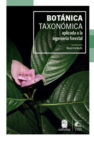 Botánica taxonómica aplicada a la ingeniería forestal