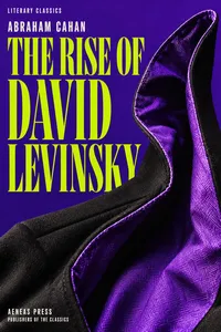The Rise of David Levinsky_cover