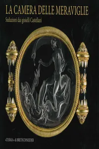 La camera delle meraviglie_cover