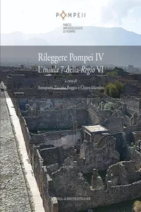 Rileggere Pompei IV. L'insula 7 della Regio VI