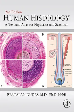 Human Histology