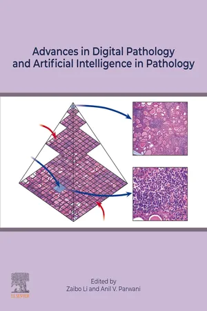 Advances in Digital Pathology and Artificial Intelligence in Pathology