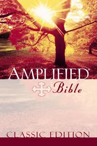 Amplified Bible_cover