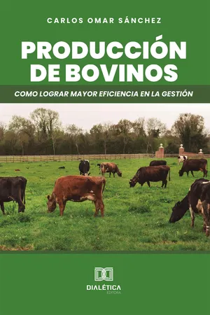 Producción de Bovinos