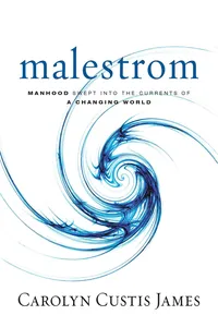 Malestrom_cover