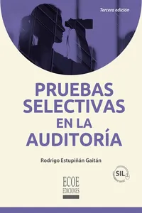 Pruebas selectivas en la auditoría_cover