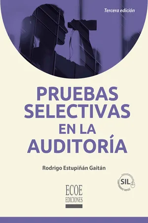 Pruebas selectivas en la auditoría
