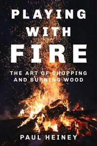 Playing with Fire_cover