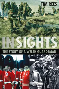 In Sights_cover
