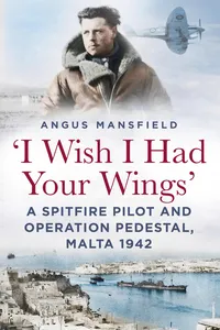 'I Wish I Had Your Wings'_cover