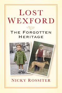 Lost Wexford_cover
