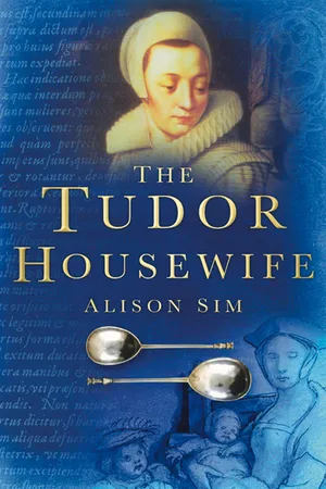 The Tudor Housewife
