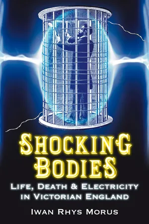 Shocking Bodies
