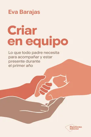 Criar en equipo