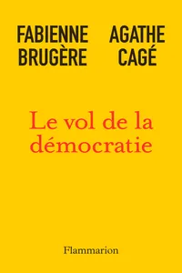 Le vol de la démocratie_cover