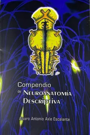 Compendio de Neuroanatomía Descriptiva
