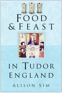 Food & Feast in Tudor England_cover