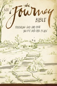 NIV, The Journey Bible_cover