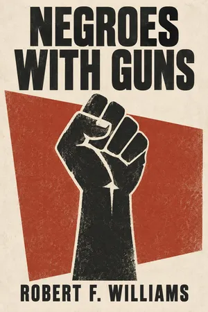 Negroes with Guns