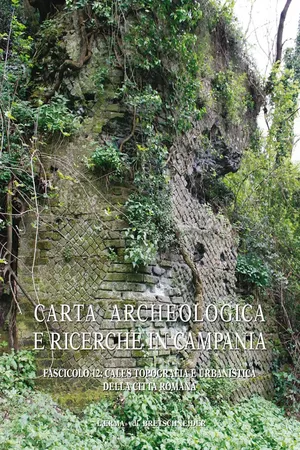 Carta archeologica e ricerche in Campania. Fascicolo 12