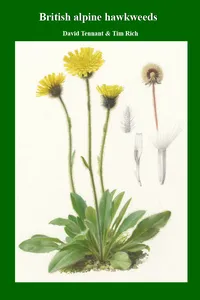British Alpine Hawkweeds_cover