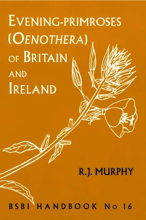 Evening-primroses (Oenothera) of Britain and Ireland