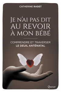 Je n'ai pas dit au revoir à mon bébé_cover