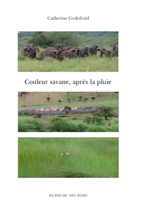 Couleur savane, après la pluie_cover