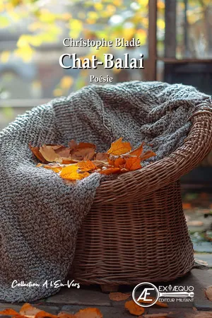 Chat-balai