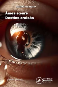 Âmes soeurs Destins croisés_cover