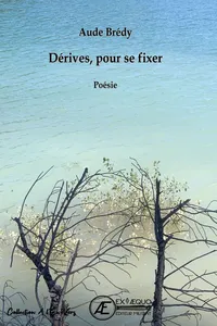 Dérives, pour se fixer_cover
