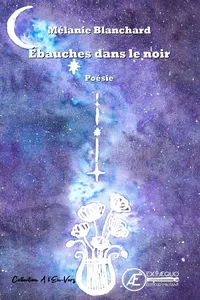 Ébauches dans le noir_cover