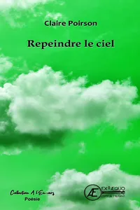 Repeindre le ciel_cover