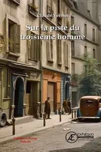 Sur la piste du troisième homme_cover