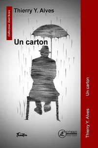 Un carton_cover