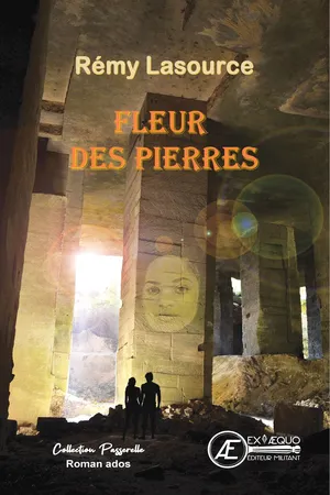 Fleur des pierres