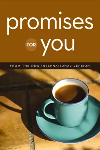 NIV, Promises for You_cover