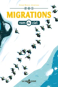 Migrations vues du ciel_cover