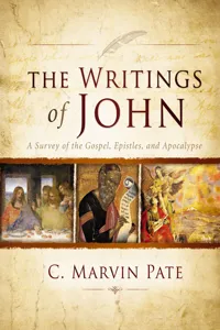 The Writings of John_cover