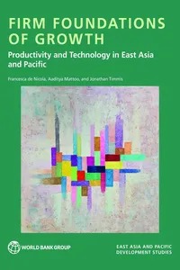 Firm Foundations of Growth_cover