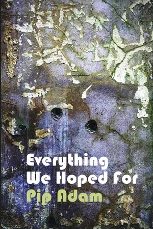 Everything We Hoped For
