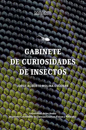 Gabinete de curiosidades de insectos